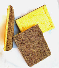 Load image into Gallery viewer, Cellulose Sponge + Coconut Scrub Pad – Powerful, Plastic-Free Cleaning
