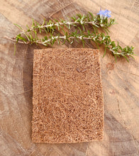 Load image into Gallery viewer, Cellulose Sponge + Coconut Scrub Pad – Powerful, Plastic-Free Cleaning
